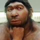 Image for article titled Sex with Neanderthals gave humans the strength we needed to conquer the planet